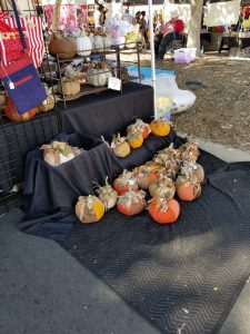 Pumpkin patch at end of day